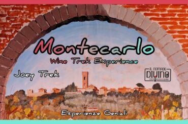 Montecarlo Wine Trek Experience