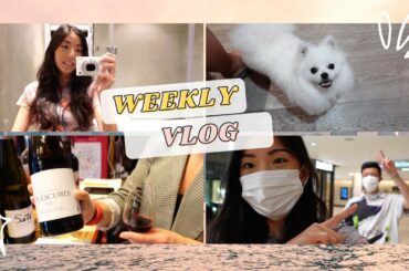 VLOG: My week - Wine & Beer Tastings, Holy Cannoli event, Aisha turns up and more