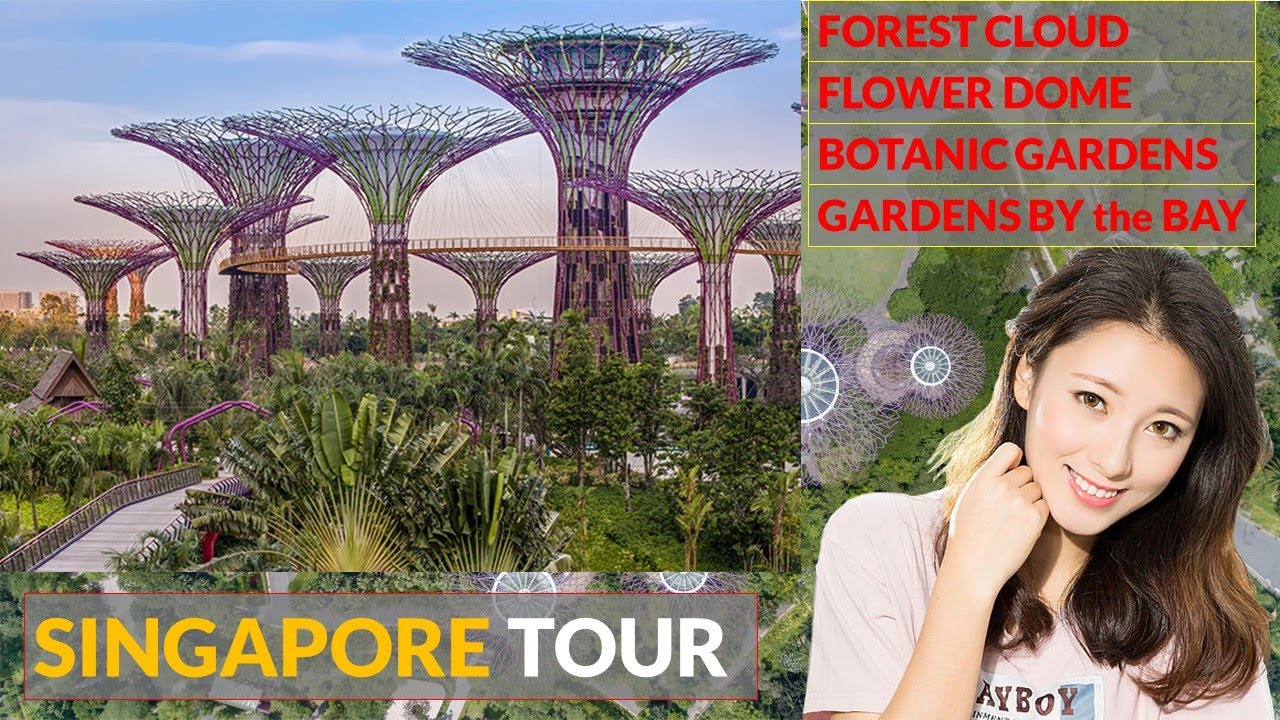 SINGAPORE CITY FULL TOUR Vlog ( Gardens by the Bay & Botanic Gardens & Cloud Forest & Flower Dome ) SINGAPORE CITY FULL TOUR Vlog ( Gardens by the Bay & Botanic Gardens & Cloud Forest & Flower Dome )