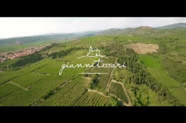 Giannitessari from Veneto, Italy