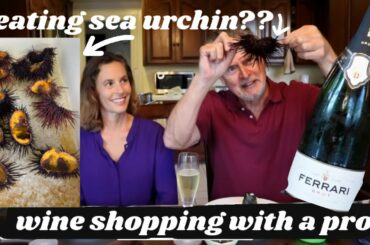 VLOG | eating sea urchin + wine shopping ($1,000+)!