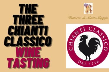 The Three Chianti Classico 2018 Wine Tasting (Montemaggio, Borgo la stella, Istine)