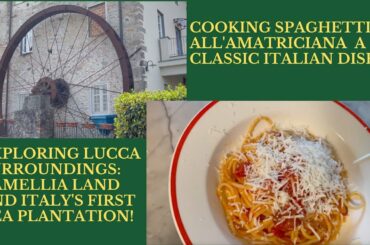 HALF DAY TRIP FROM LUCCA: CAMELLIA VILLAGES  - THEN WE COOK AMATRICIANA, AN ITALIAN CLASSIC