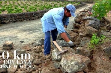 Discover Pantelleria  - Donnafugata in chapter