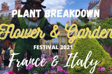 Disney's EPCOT Flower & Garden Festival Plant Breakdown: France & Italy