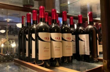 Maggiano’s Little Italy, Tampa | Did it Pass the Mother’s Day Challenge?