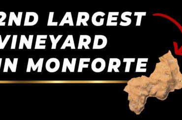 Bricco San Pietro | Barolo Cru