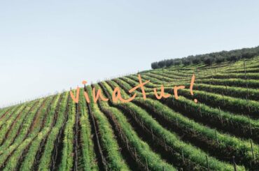 Vinatur | Natural Wines | Episode 1