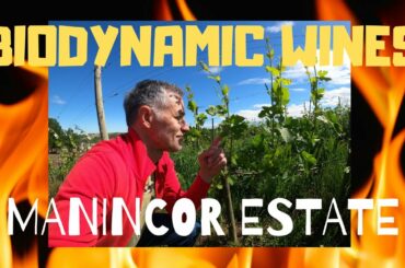 Biodynamic Wine Producers: Manincor Estate - The History of Biodynamic in Italy
