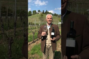 Colutta from Friuli-Venezia Giulia, Italy says grazie to Kobajers for buying its wine