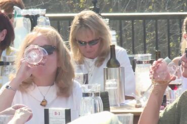 Missouri Botanical Garden highlights Missouri wine in virtual series