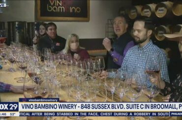Vino Bambino Winery is an interactive wine tasting, blending experience | Good Day Philadelphia