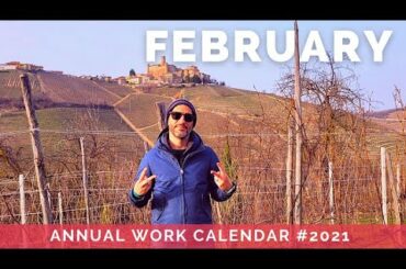 Barolo wine calendar - FEBRUARY 2nd episode