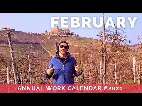 Barolo wine calendar – FEBRUARY 2nd episode Barolo wine calendar - FEBRUARY 2nd episode