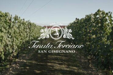 Conservatory Garden Wine Room