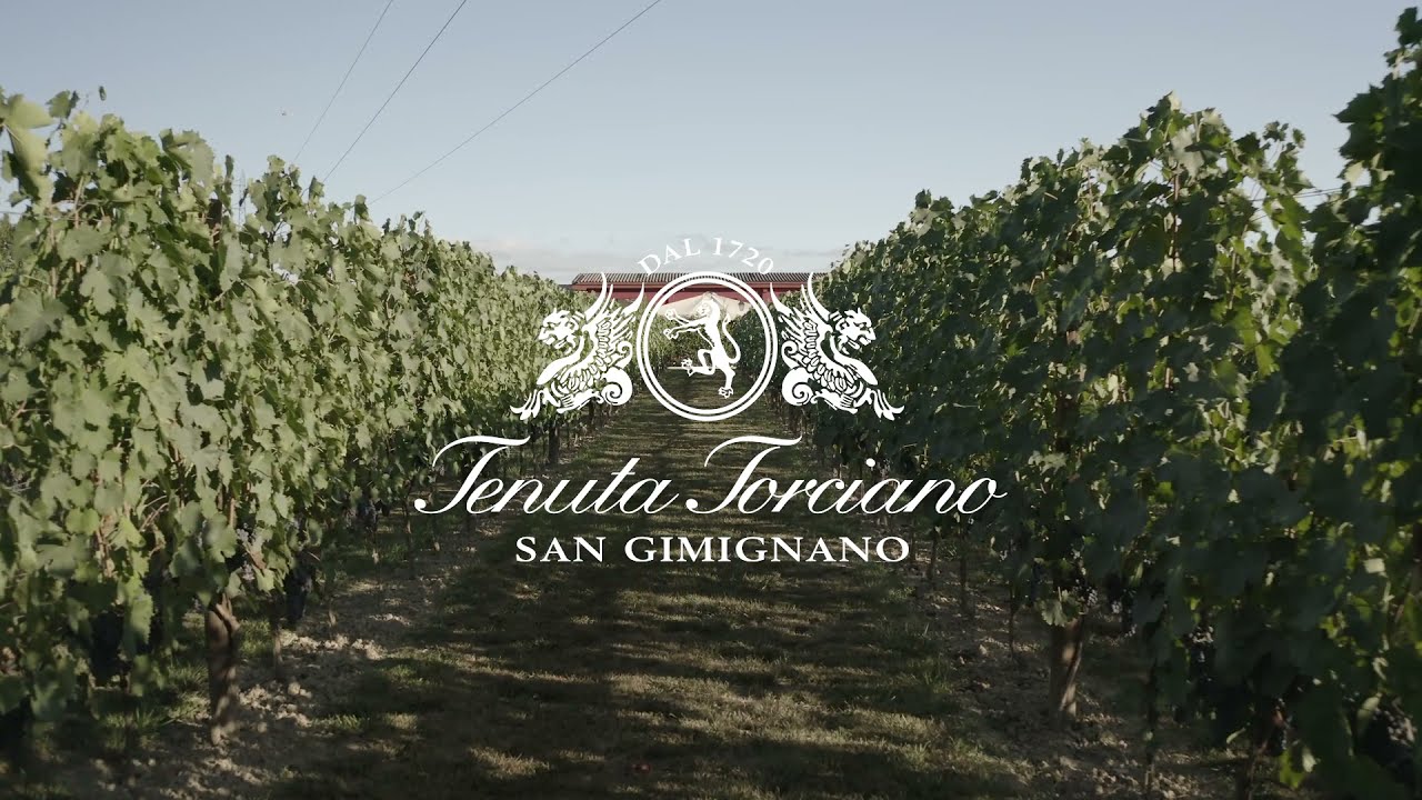 Conservatory Garden Wine Room Conservatory Garden Wine Room