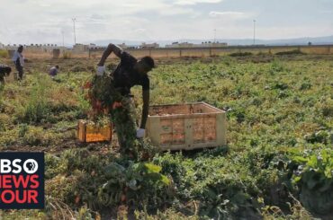 Inside African migrants' fight against 'slave-like' conditions in Italy
