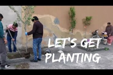 Let’s Get Planting | Vlog - Italy / Food It Yourself