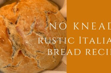 No Knead Artisan Bread | Rustic Italian Recipe #shorts
