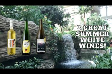 3 Great Summer White Wines