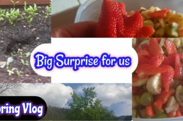 Spring vlog | Life Update | Big Surprise For Us | Lifestyle in Italy | Vlog kiun nahi bana rahi me