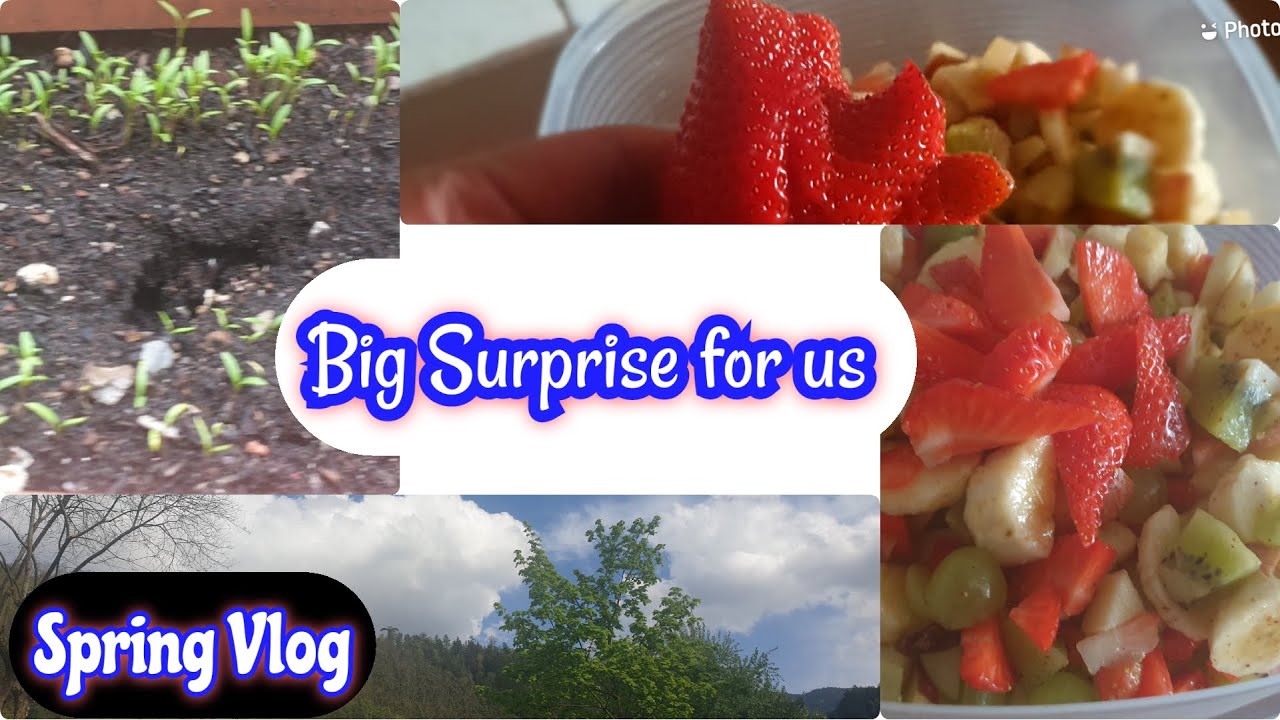 Spring vlog | Life Update | Big Surprise For Us | Lifestyle in Italy | Vlog kiun nahi bana rahi me Spring vlog | Life Update | Big Surprise For Us | Lifestyle in Italy | Vlog kiun nahi bana rahi me