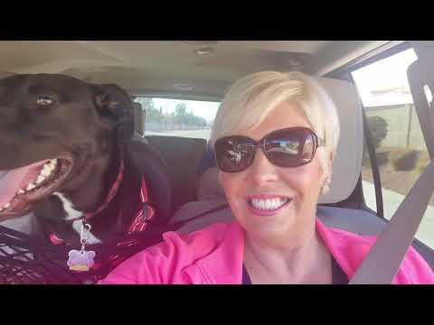 SWEET 16 BIRTHDAY – TUSCANY GARDEN RESTAURANT – The Las Vegas 6 SWEET 16 BIRTHDAY - TUSCANY GARDEN RESTAURANT - The Las Vegas 6