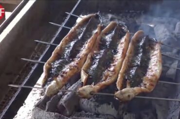 Japanese Street Food | UNAGI | Grilled Eel