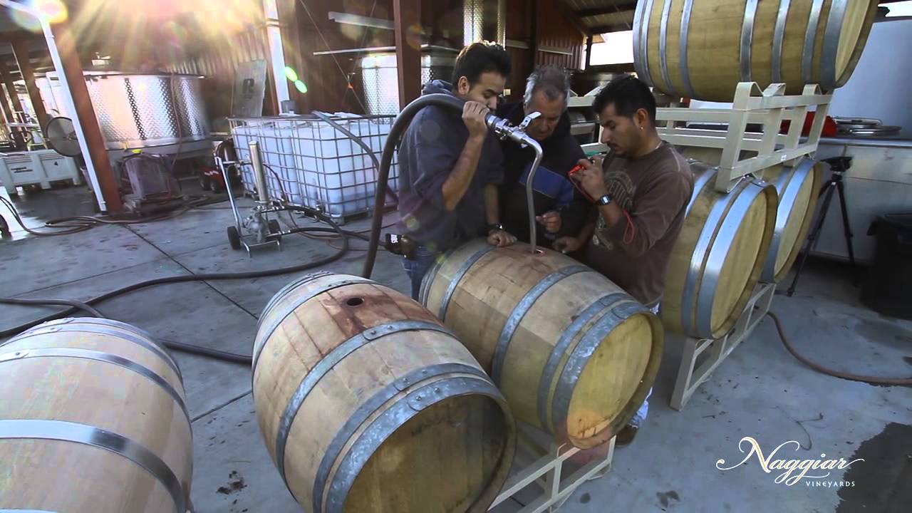 Vine to Wine, Winemaking at Naggiar Vineyards Vine to Wine, Winemaking at Naggiar Vineyards