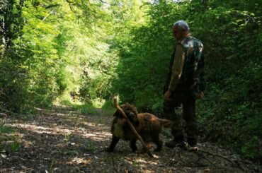 Truffle Hunting Experience in Tuscany with Cucina Giuseppina