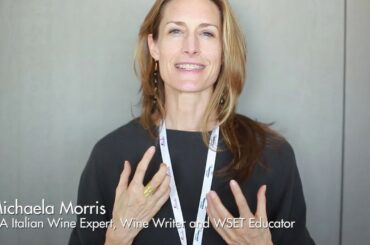 5 Star Wines 2017   - Judges' opinions