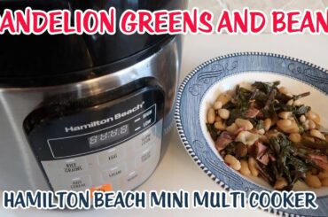 Italian Style Dandelion Greens And Beans Recipe * Hamilton Beach Mini Multi Cooker * Imperfect Foods