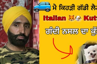 reply Italian Kutta jaanmahal video Sunday Live ki hal ne sab de