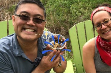 New Series: STATE PARK SHUFFLE | D’Agostino’s Deli | BEST ITALIAN SUB | Alewife Brook Reservation