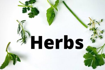 Cook's Kitchen Spices | Part 4  When Fresh Is Best Herbs