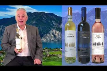 Turina Wines from Lugana on the shores of Lake Garda