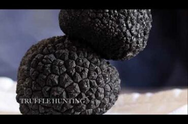 UMBRIA -   - LUXURY EXPERIENCES - DAY TRIP -  BY ITALIAN TOUCH DMC TODI - YOUR  LOCAL EXPERT