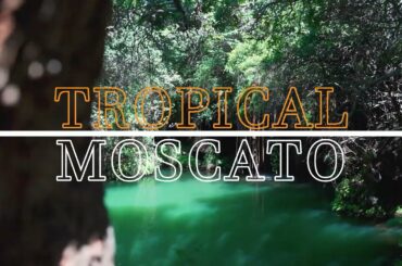 Chapter 5 | Tropical Moscato