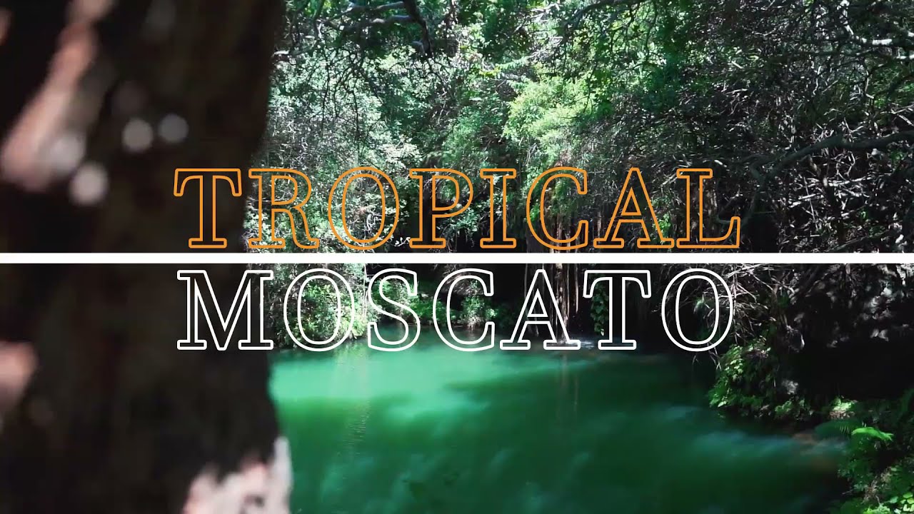 Chapter 5 | Tropical Moscato Chapter 5 | Tropical Moscato