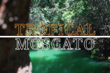 Chapter 2 | Tropical Moscato