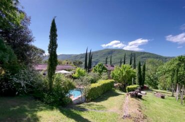 Your own private organic vineyard. Italian Property Virtual Tours by Nick Ferrand