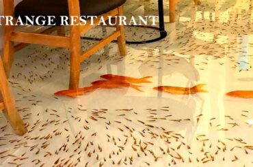 When the fish pond on the floor of the restaurant! The 5 strangest restaurants in the world