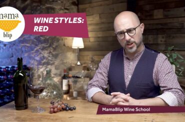 Wine styles: red | Learn about the different types of wine | Wine school with Filippo Bartolotta