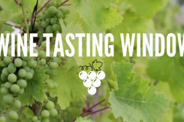 South Africa | Diemersfontein The Original Pinotage 2018 - Wine Tasting Window - WSET L3/L4 Method