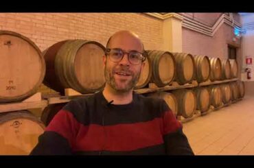 Colle Corviano Wines: Trebbiano d'Abruzzo DOC