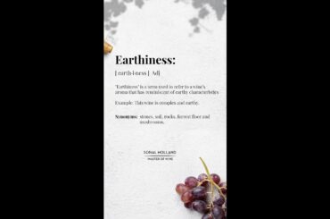 Wine words that make you sound like a pro - Earthiness