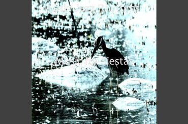 Carefree Restaurants