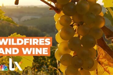 Wildfires and Climate Change Are Spoiling California Wine | NBCLX