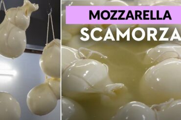 Making Scamorza | Italian Food | Kitchen Tales