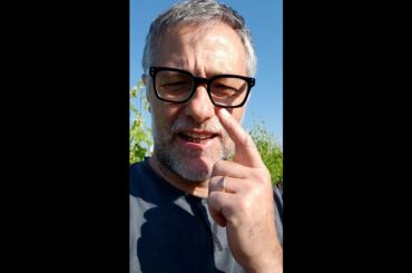 Italian Wines Back Vintages #Shorts